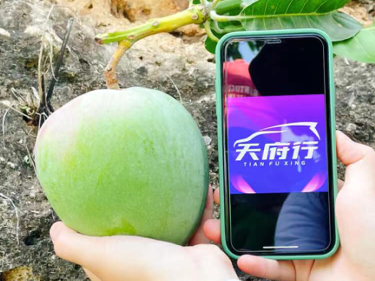 �����ƶ�··����������̨��